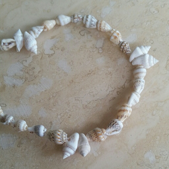 Shell Necklace - Picture 2 of 2